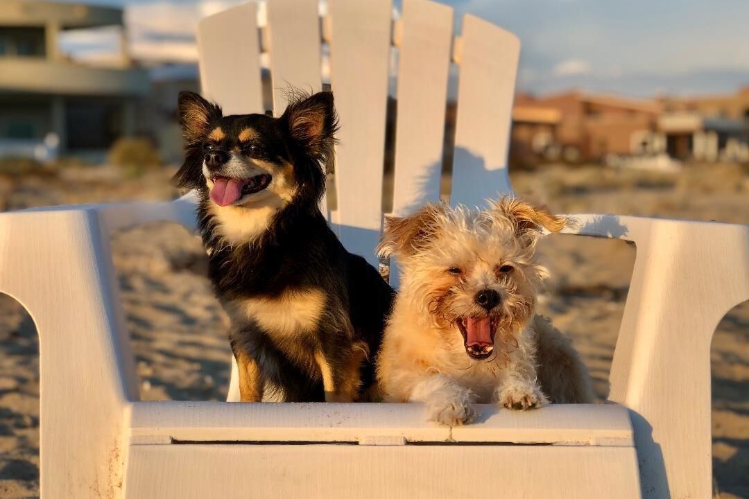 Photo of Others in Puerto Penasco