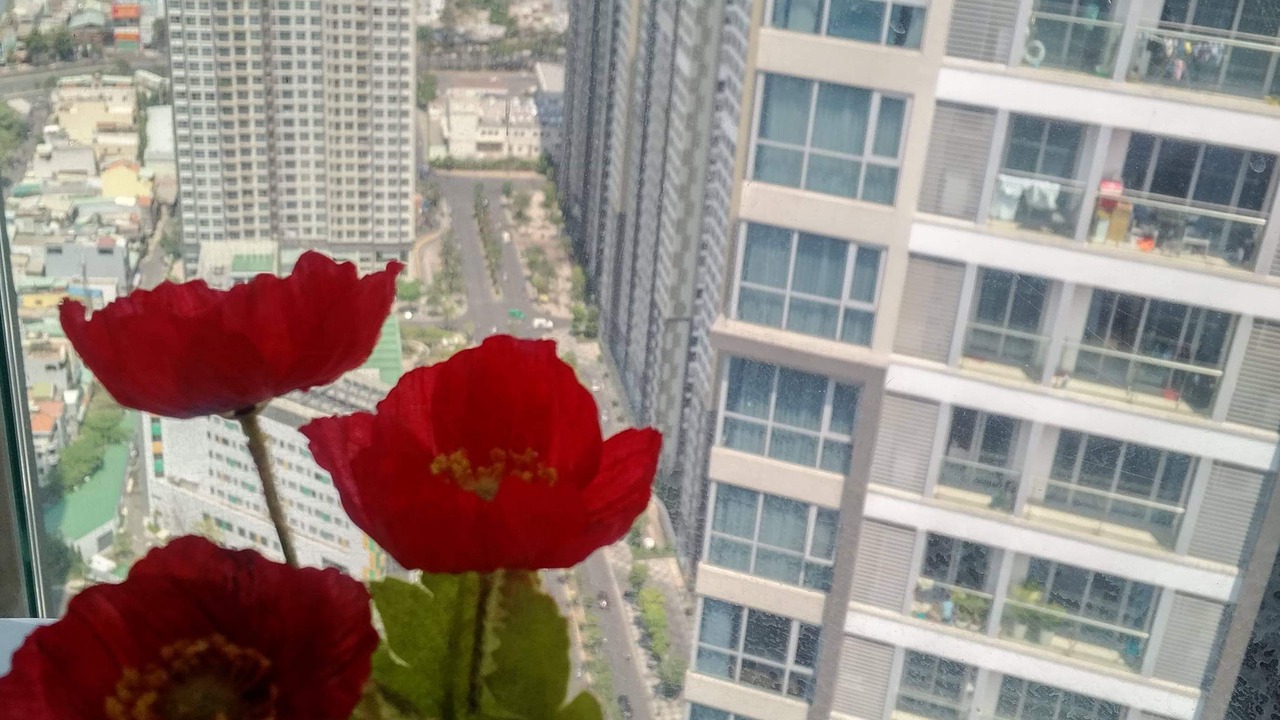 Photo of Others in Hang Xanh