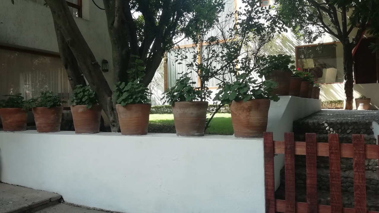 Photo of Outdoor in Miguel Hidalgo