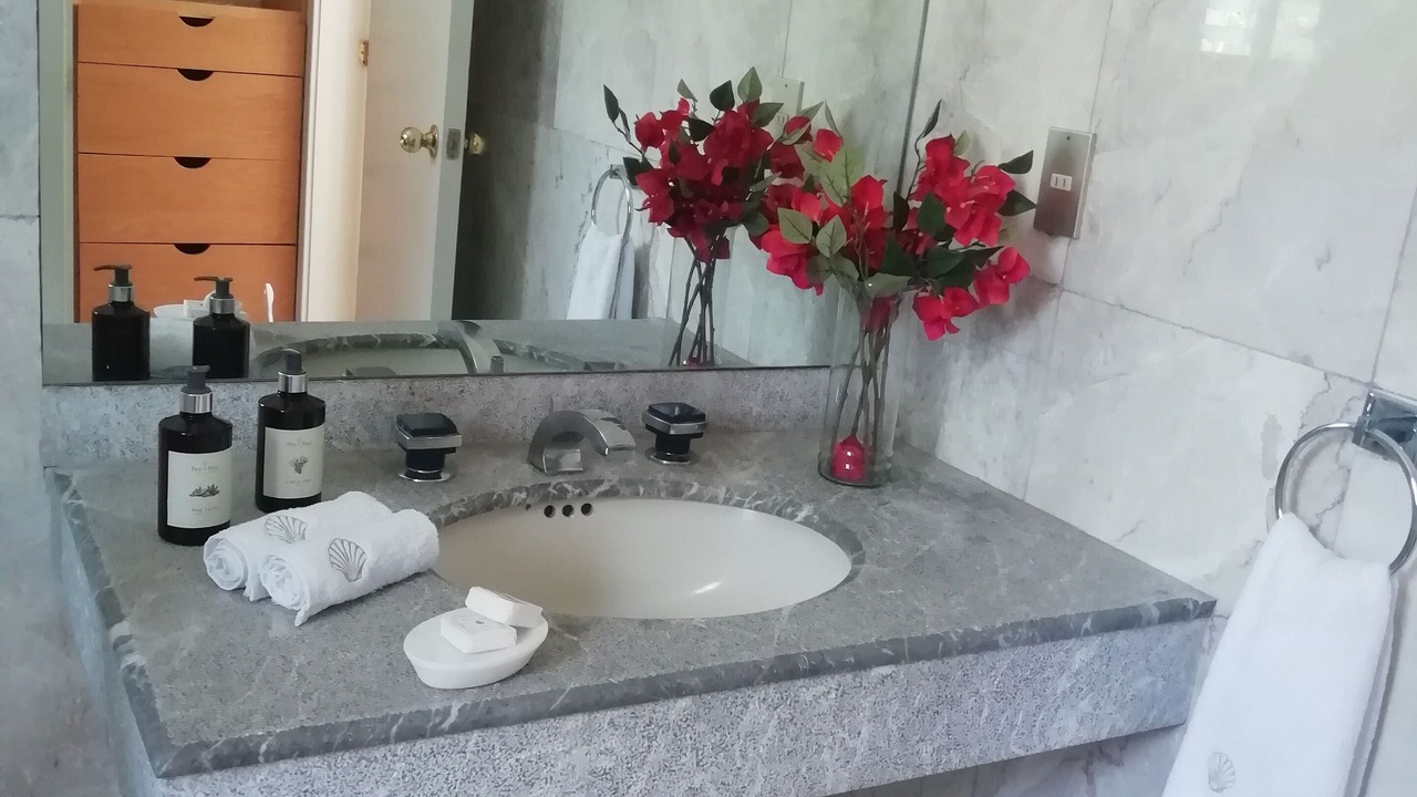 Photo of Bathroom in Miguel Hidalgo