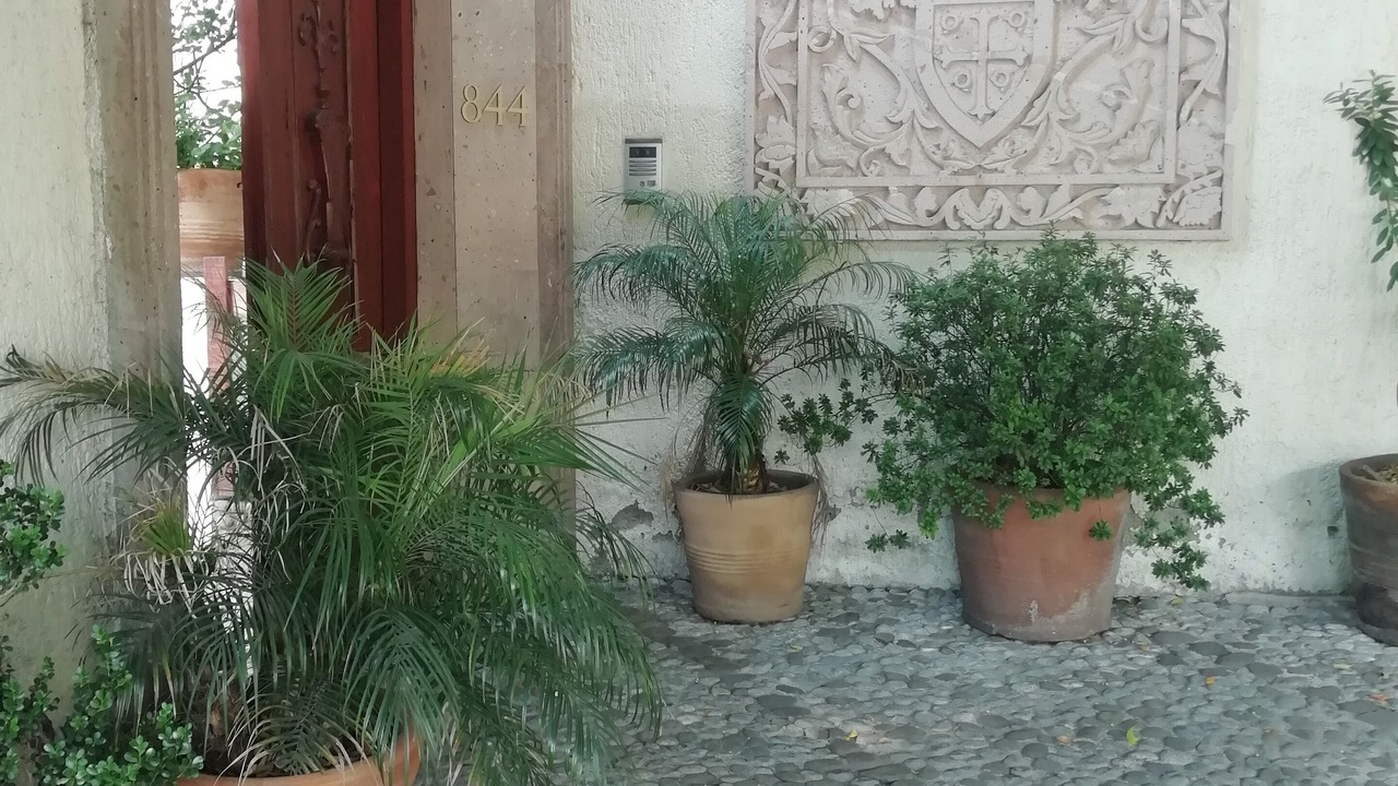 Photo of Outdoor in Miguel Hidalgo