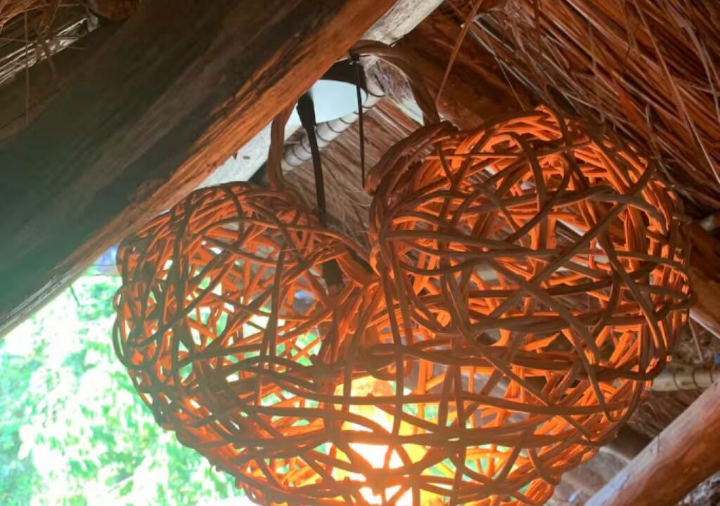 Photo of Others in Cozumel
