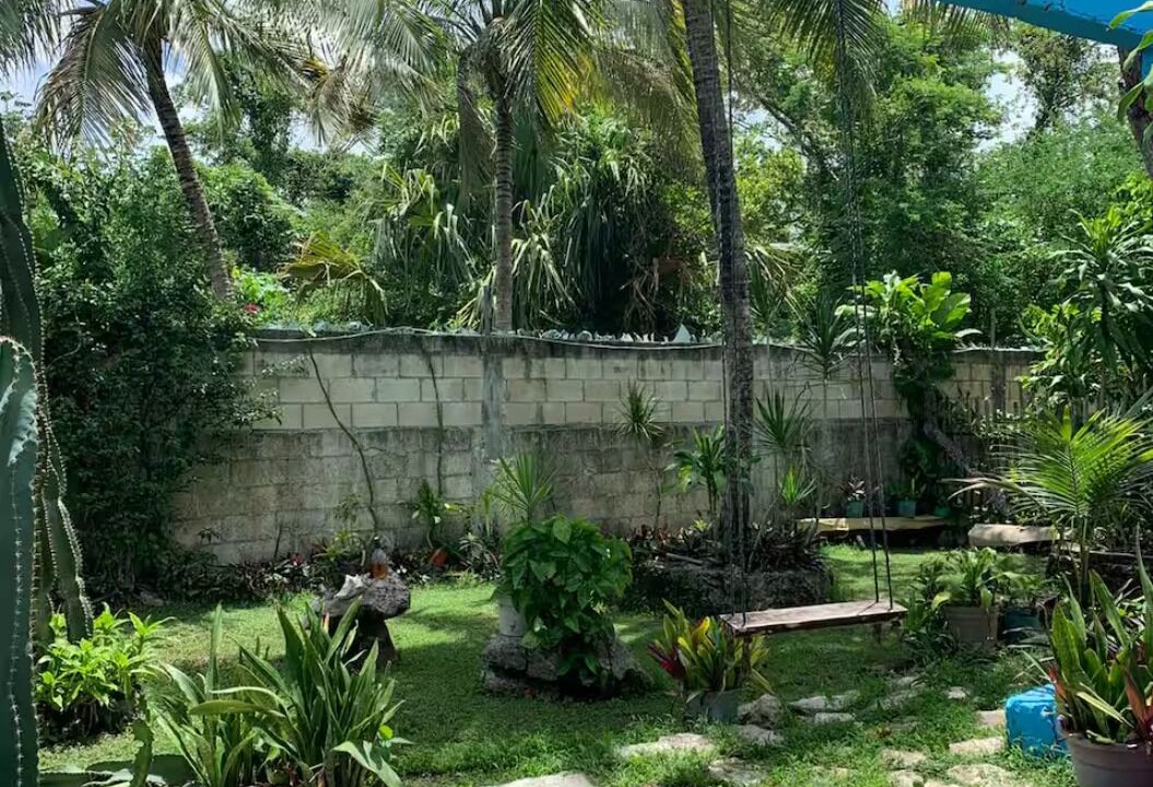 Photo of Outdoor in Cozumel