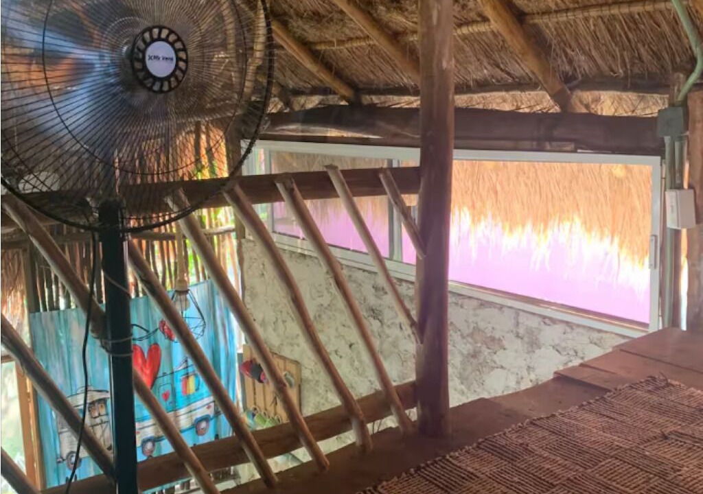 Photo of Others in Cozumel