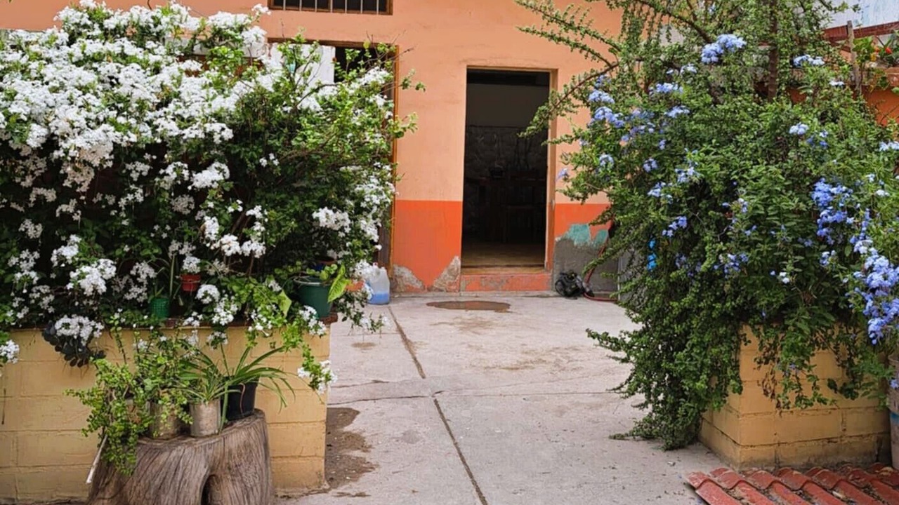 Photo of Outdoor in Centro
