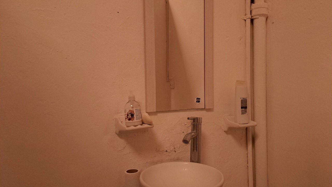 Photo of Bathroom in Centro
