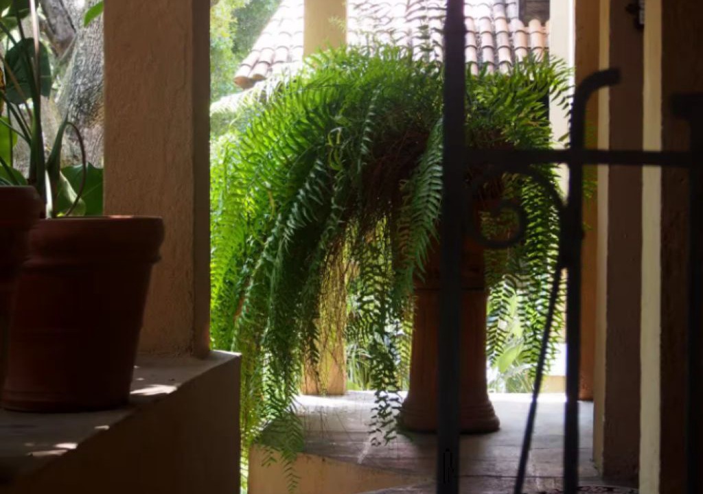 Photo of Outdoor in Jiutepec