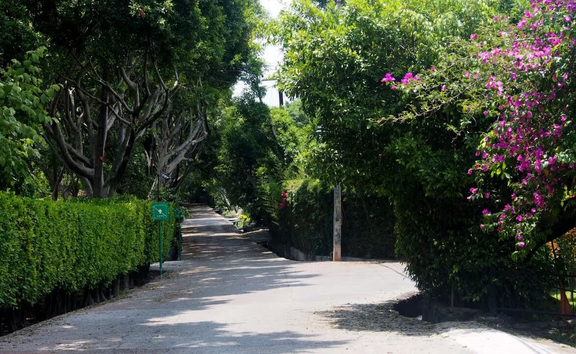 Photo of Others in Jiutepec