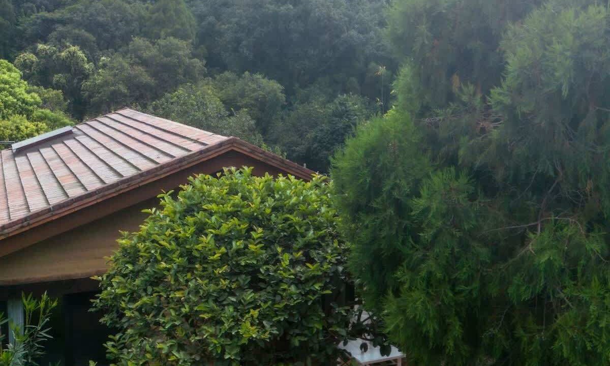 Photo of Outdoor in San Pedro