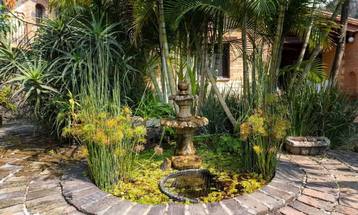 Photo of Outdoor in San Pedro