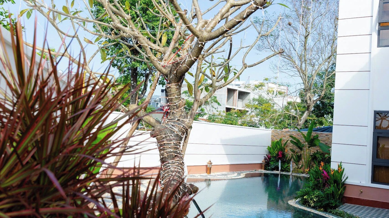 Photo of Outdoor in Dien Ban