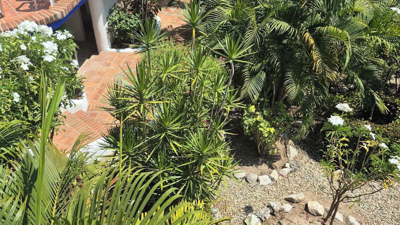 Photo of Outdoor in Hidalgo