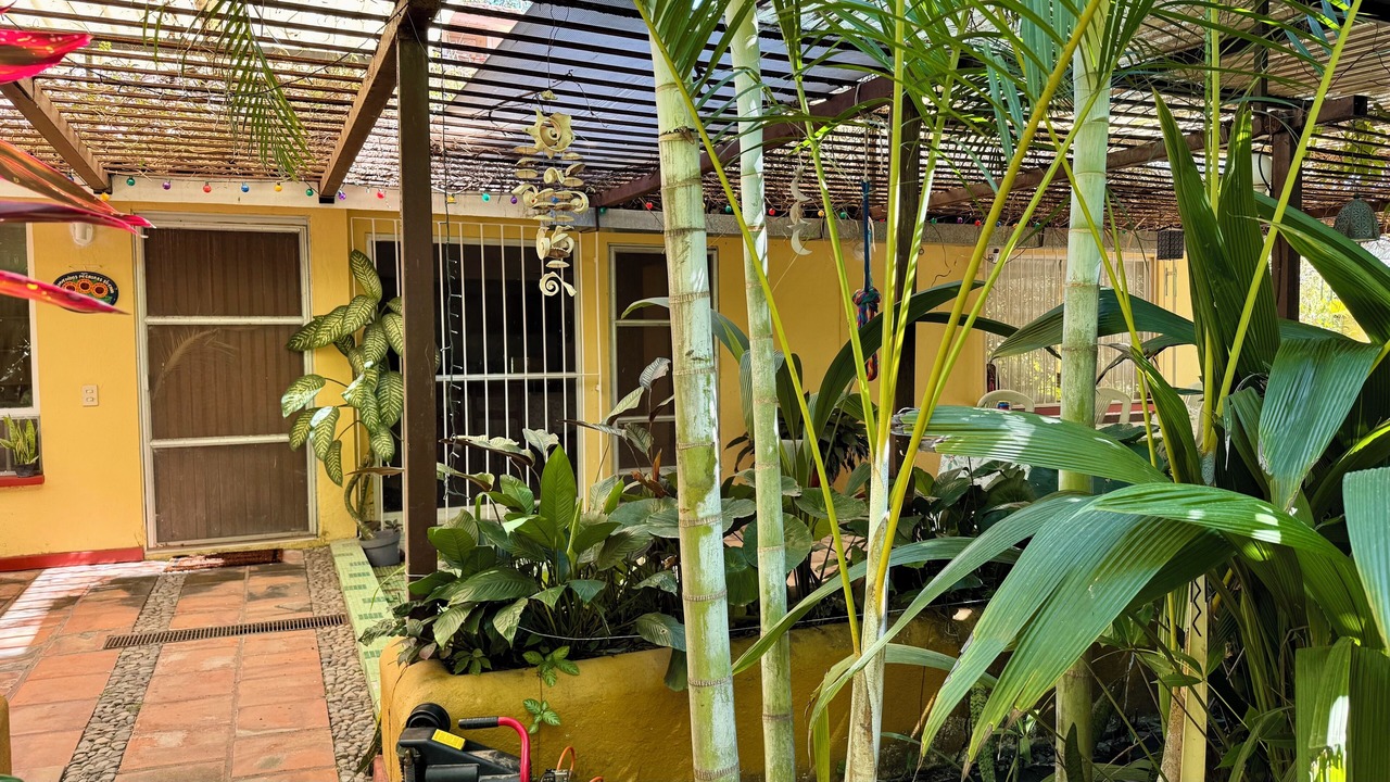 Photo of Outdoor in Comala