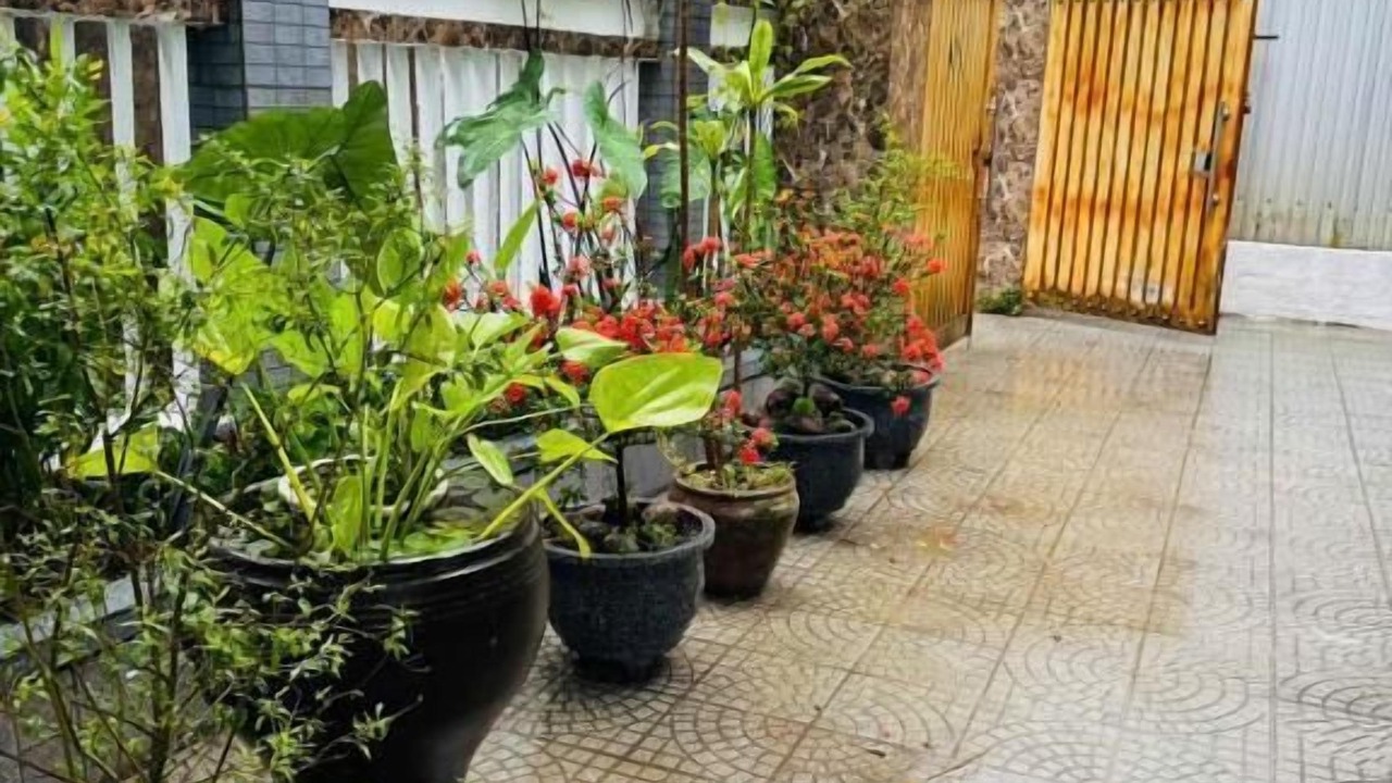 Photo of Outdoor in Hue