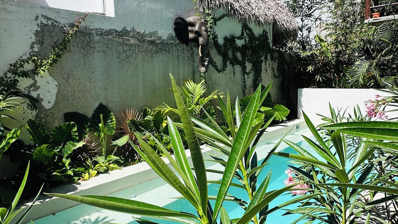 Photo of Outdoor in Los Tamarindos