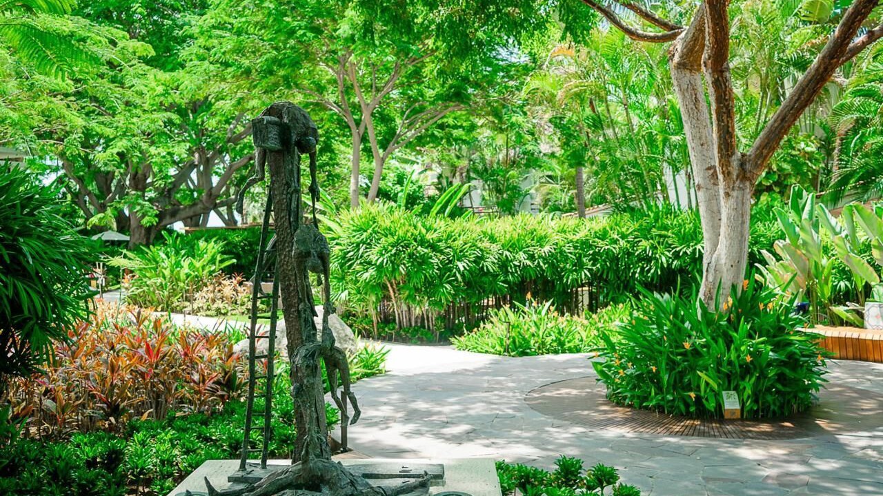 Photo of Outdoor in La Puntilla