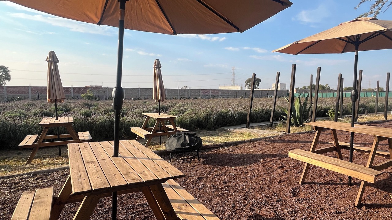 Photo of Outdoor in Texcoco de Mora