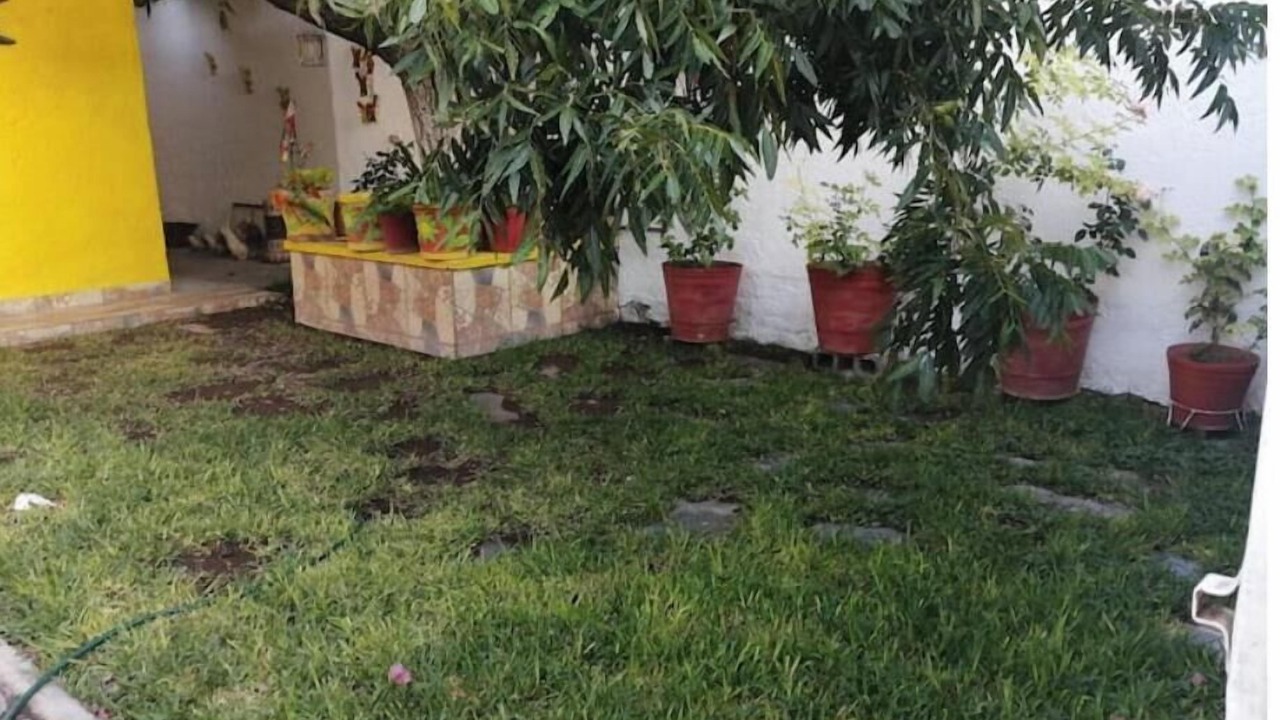 Photo of Outdoor in Saltillo