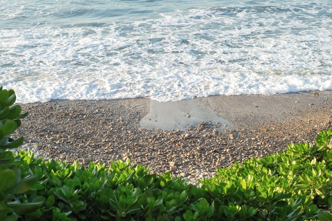 Photo of Others in Punta Negra