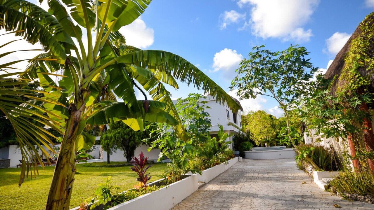 Photo of Outdoor in Playa del Carmen
