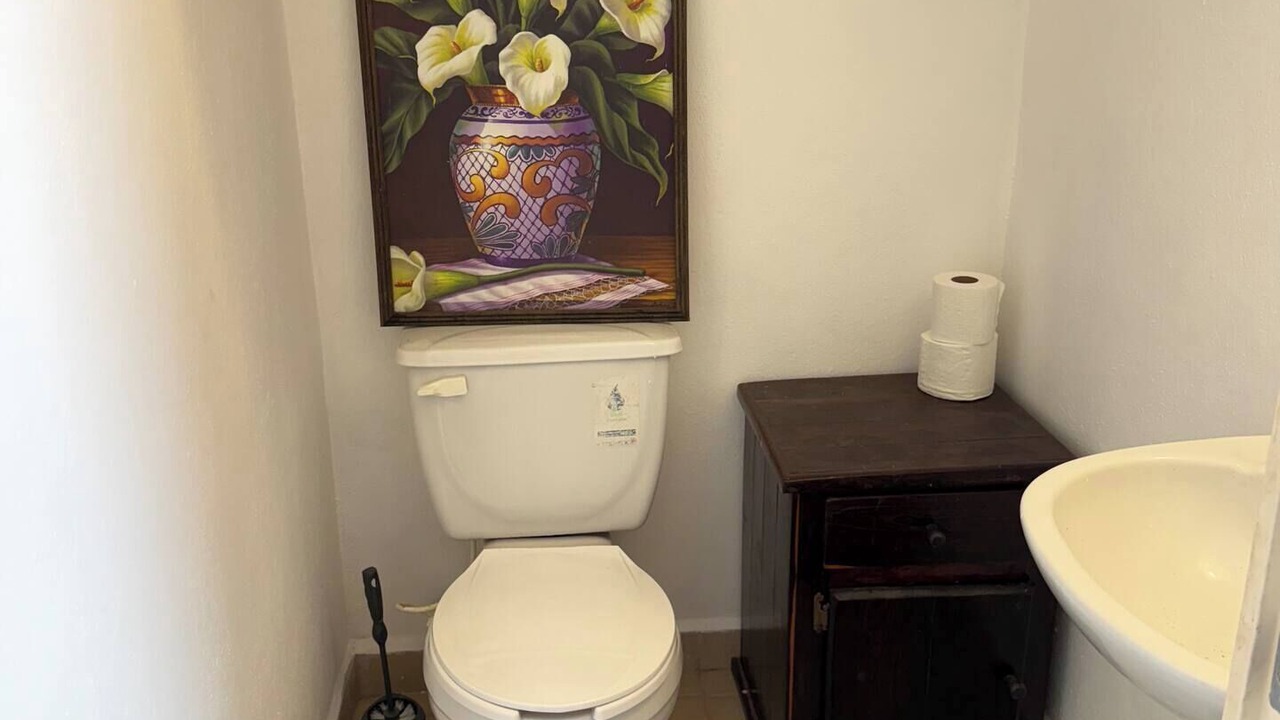 Photo of Bathroom in Ixtapa