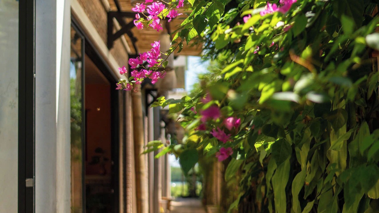 Photo of Outdoor in Hoi An