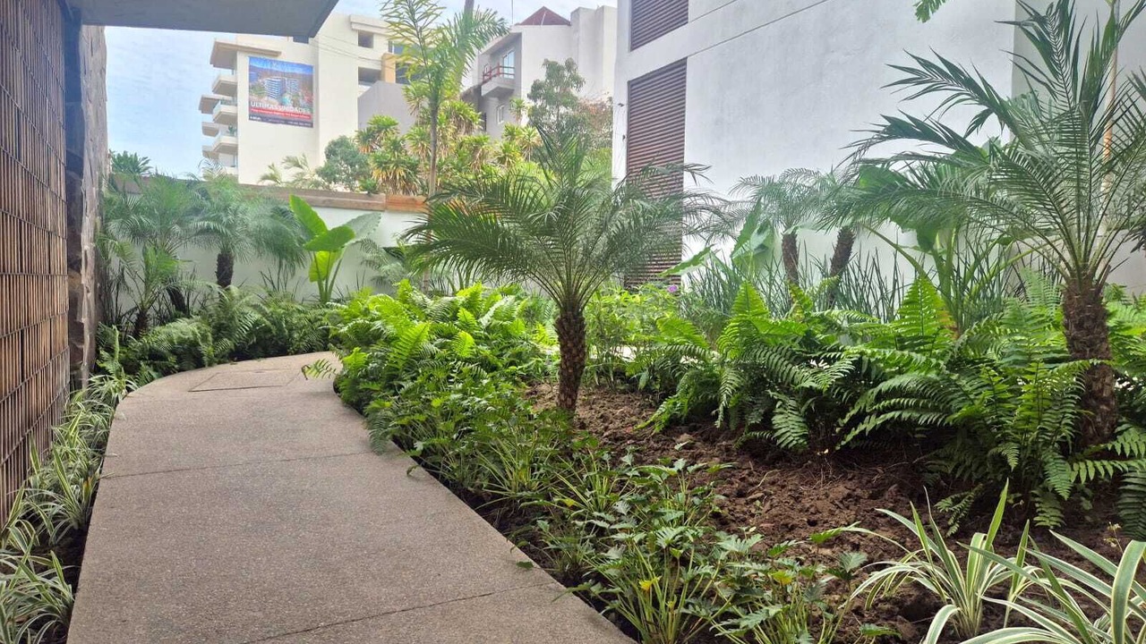 Photo of Outdoor in Bucerias