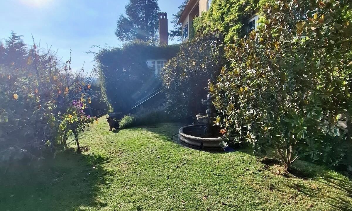 Photo of Outdoor in Salazar