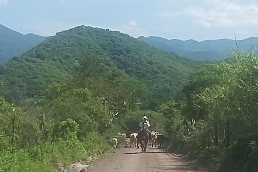 Photo of Others in Mascota