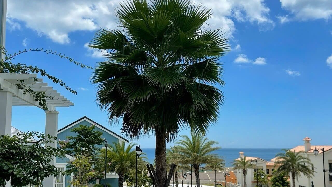 Photo of Outdoor in Phan Thiet