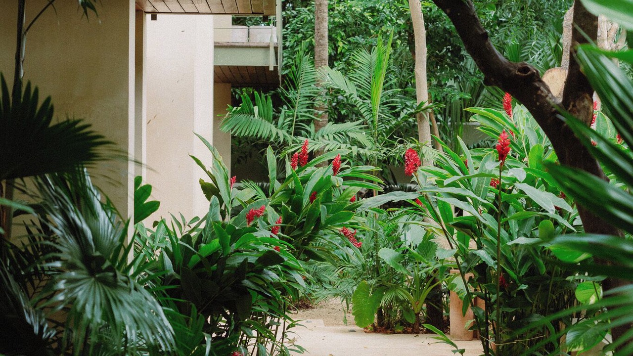 Photo of Outdoor in Barrio de Santiago