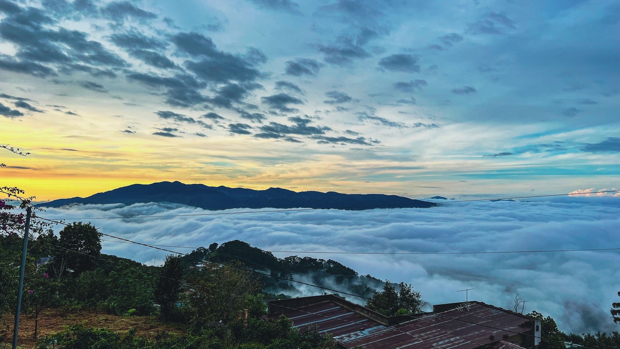 Photo of Others in Da Lat
