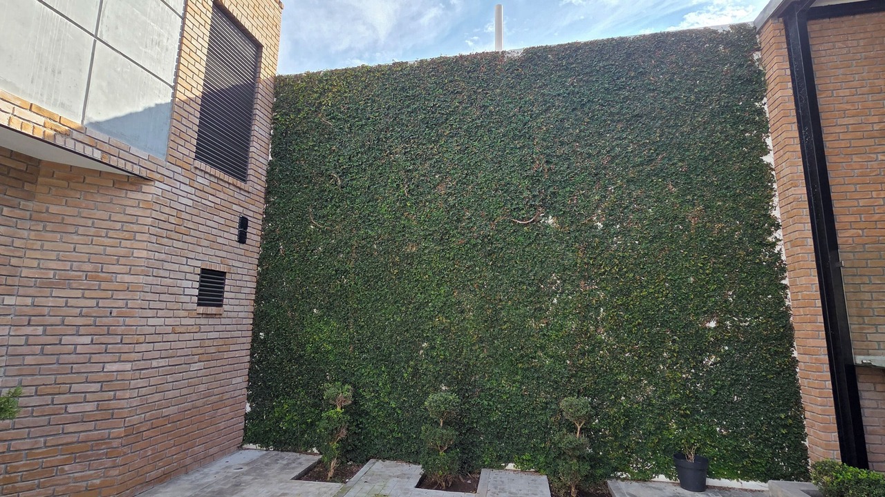 Photo of Outdoor in Matamoros