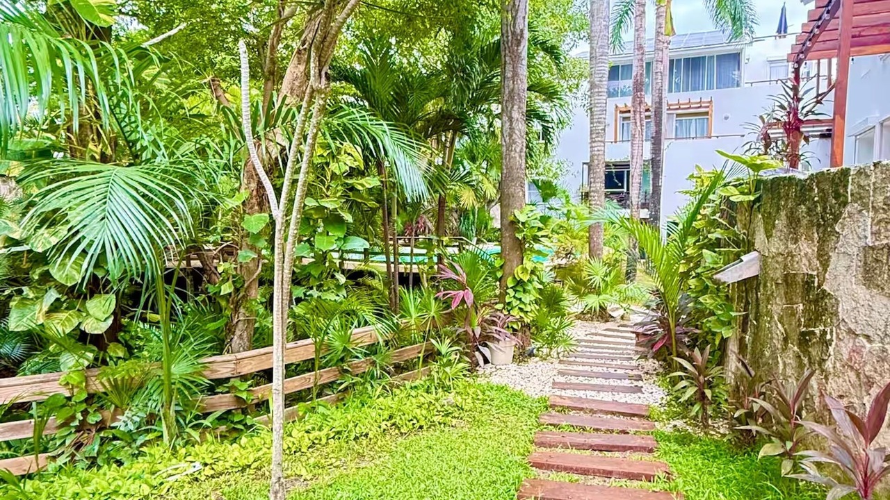 Photo of Outdoor in Playacar Fase II