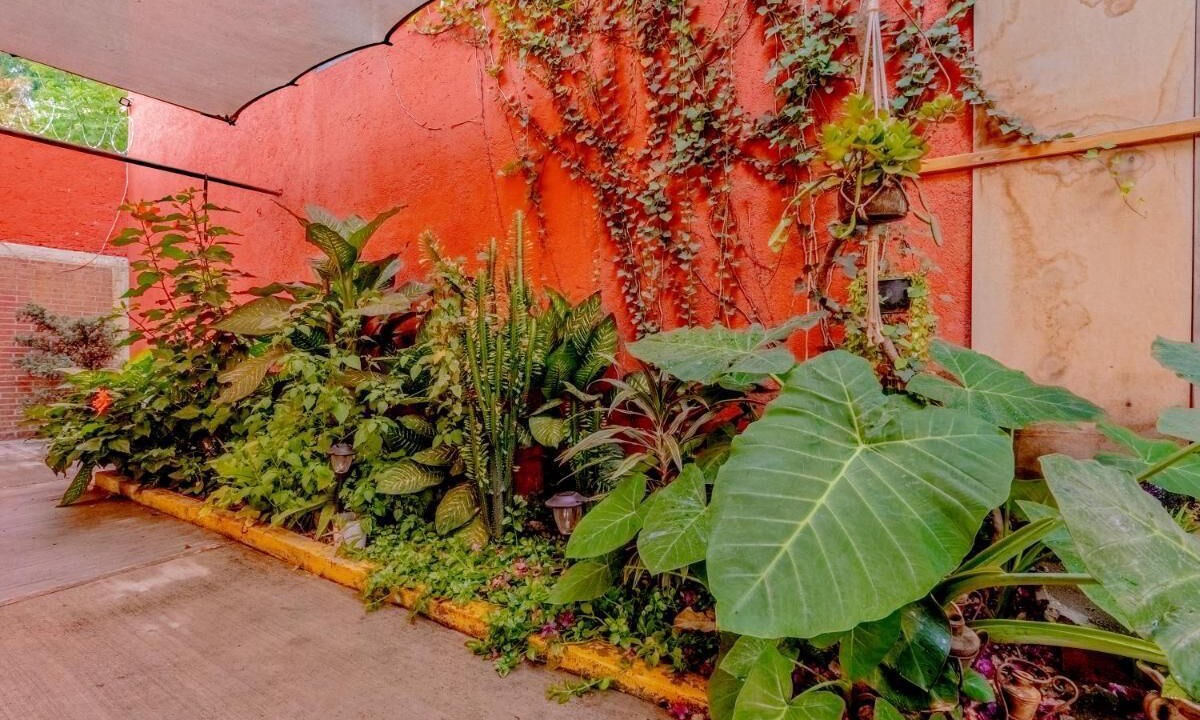 Photo of Outdoor in Del Ex-marquezado