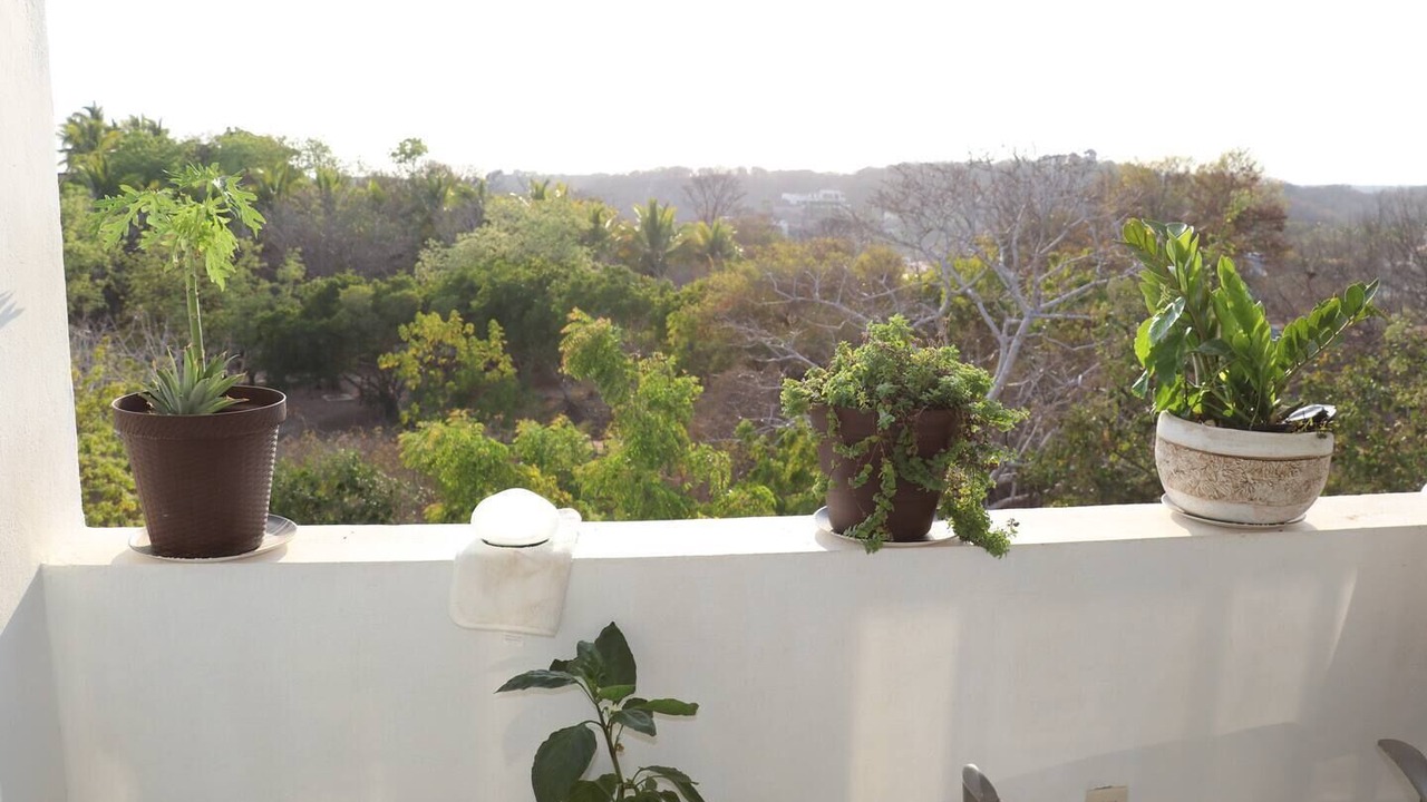 Photo of Outdoor in Salchi