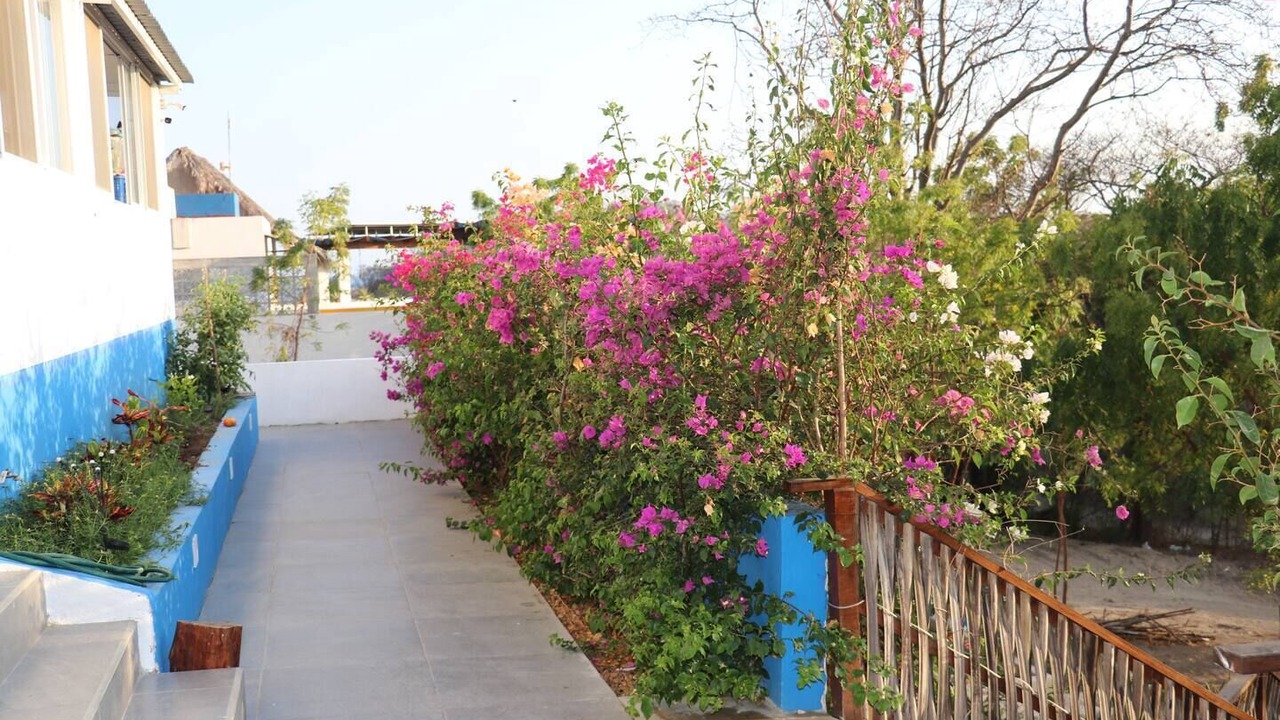 Photo of Outdoor in Cuatunalco