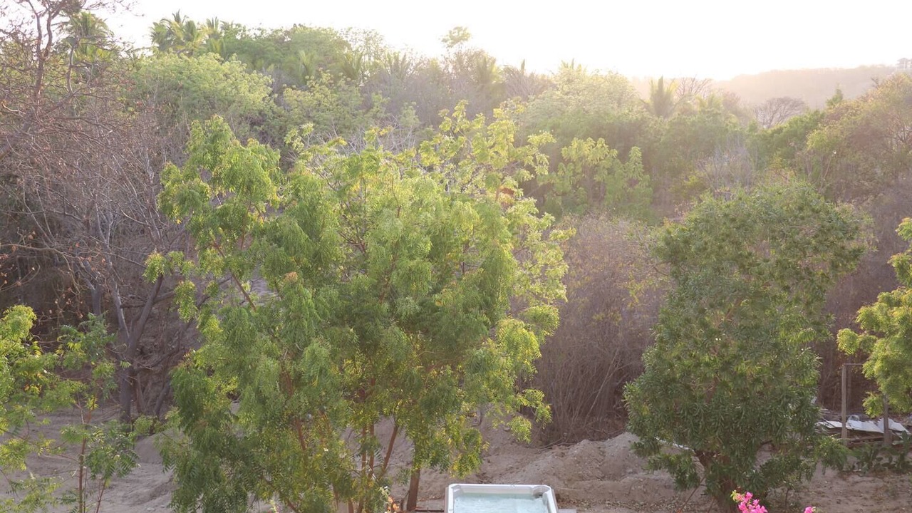 Photo of Outdoor in Cuatunalco