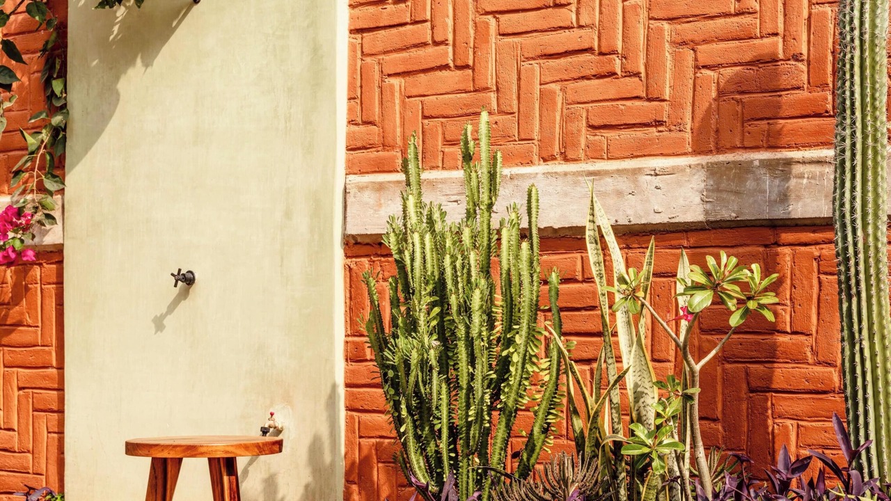 Photo of Outdoor in Puerto Angel