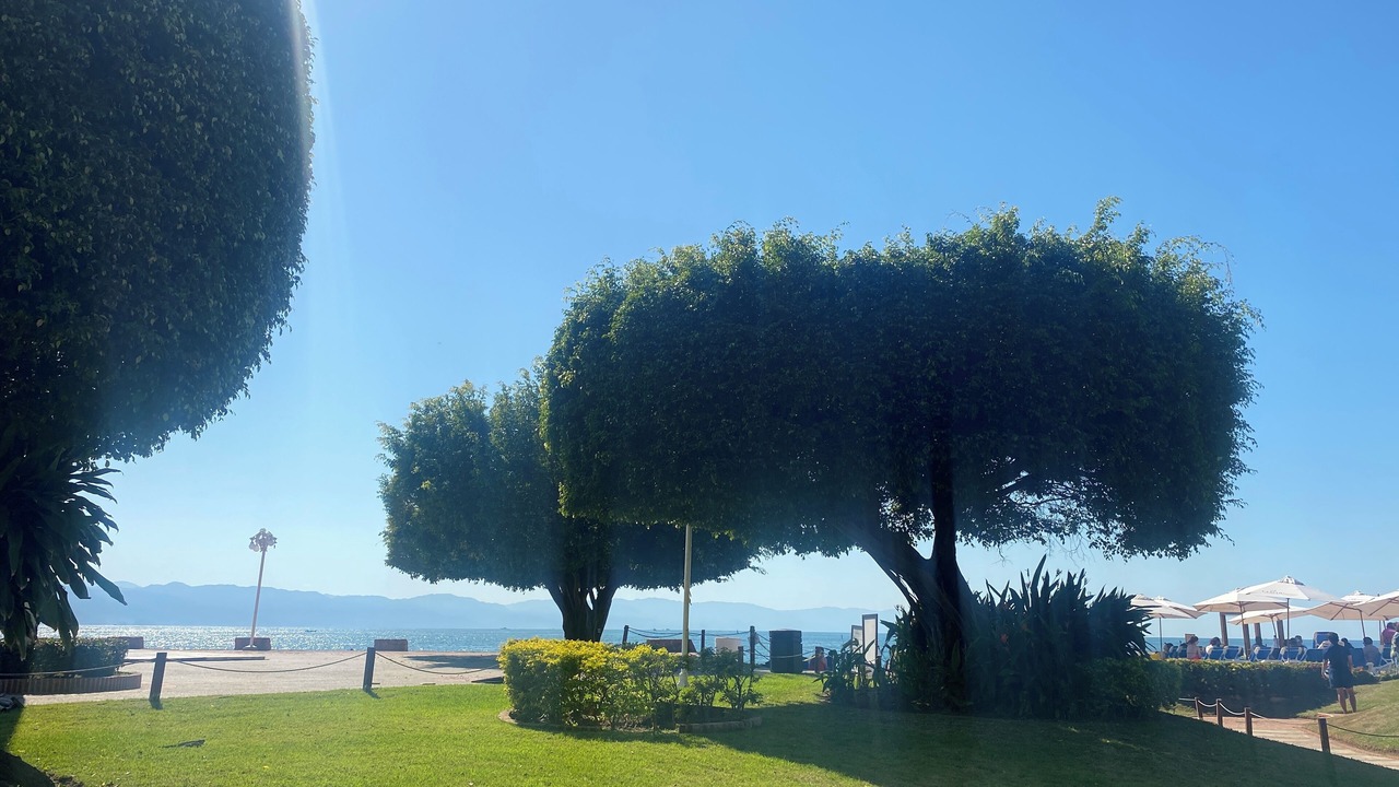 Photo of Outdoor in Marina Vallarta