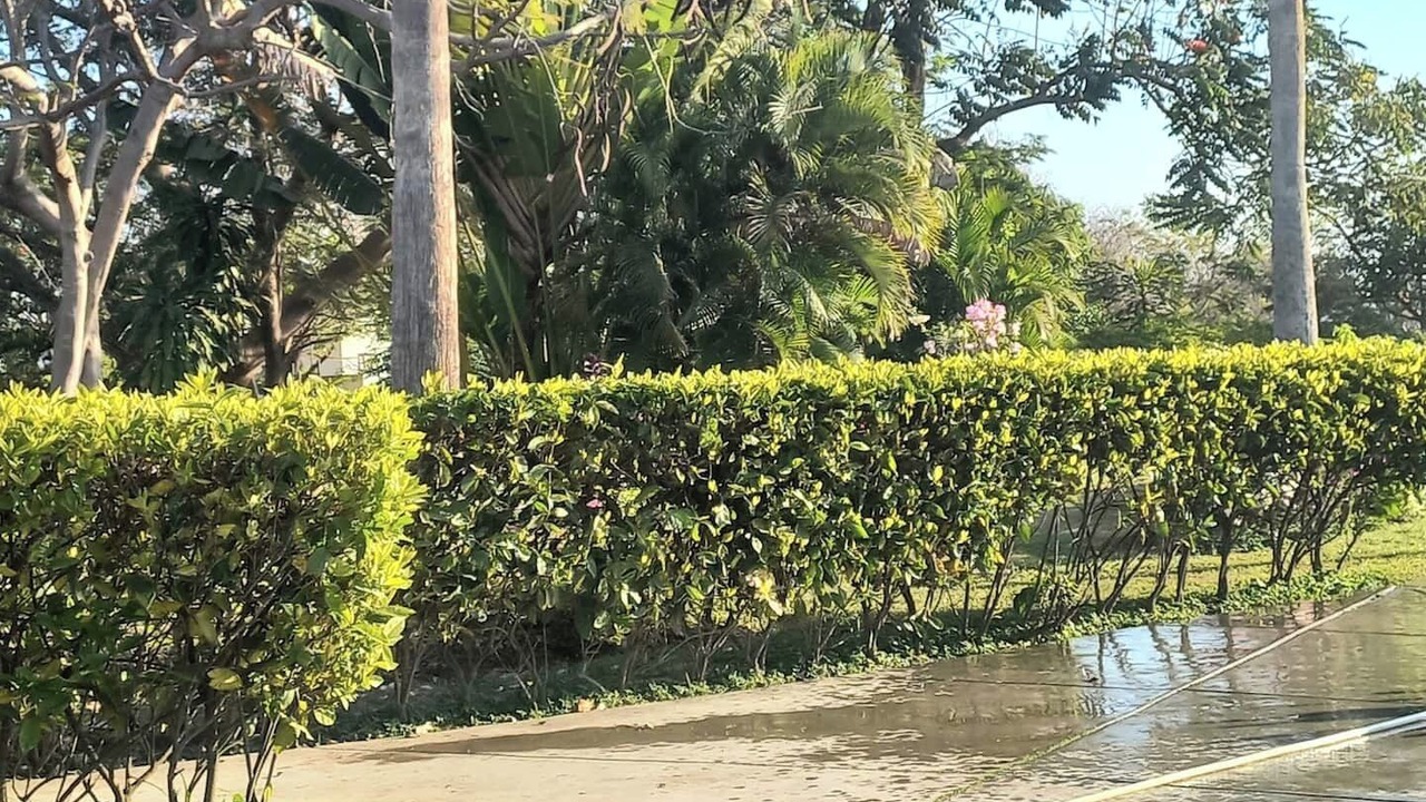 Photo of Others in Puerto Vallarta
