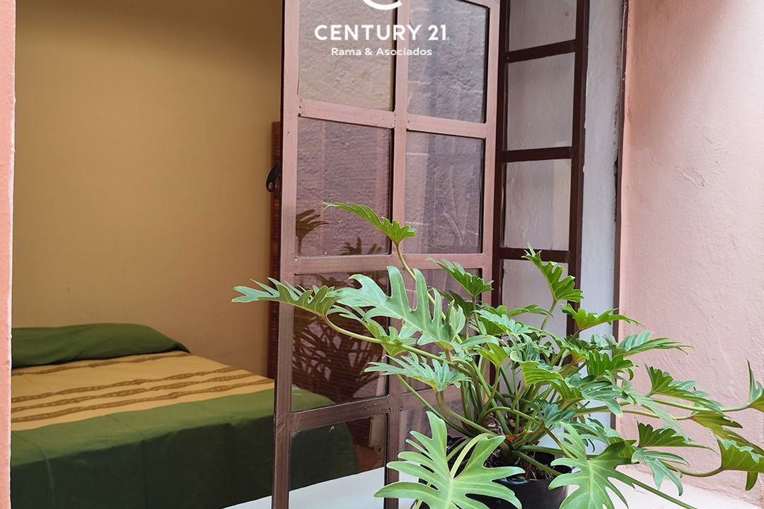Photo of Bedroom in San Felipe