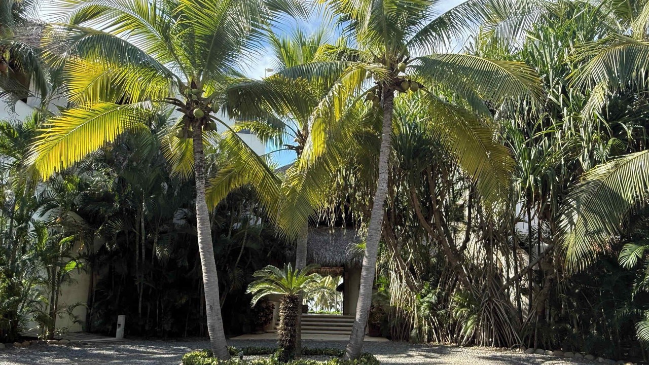 Photo of Others in Ixtapa - Zihuatanejo