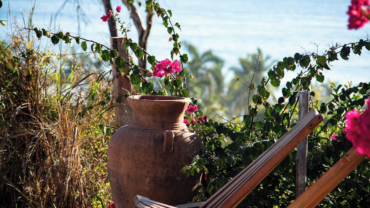 Photo of Outdoor in Troncones