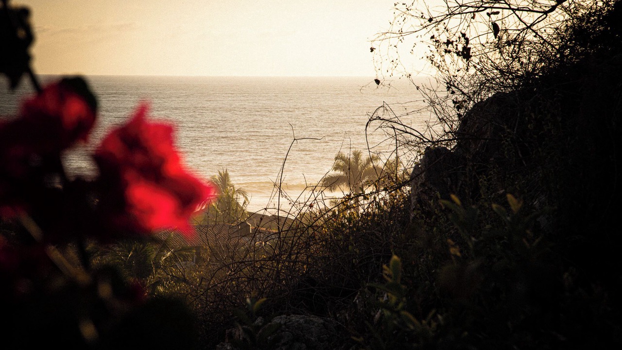 Photo of Others in Troncones