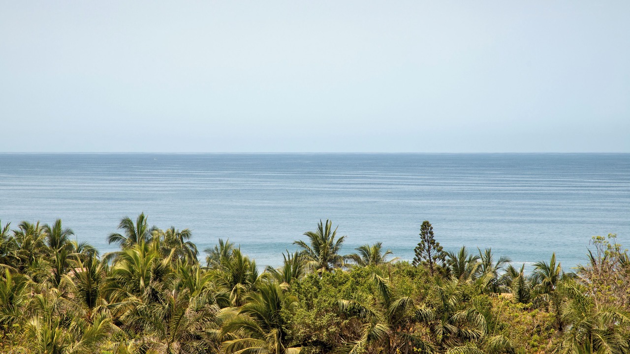 Photo of Others in Troncones