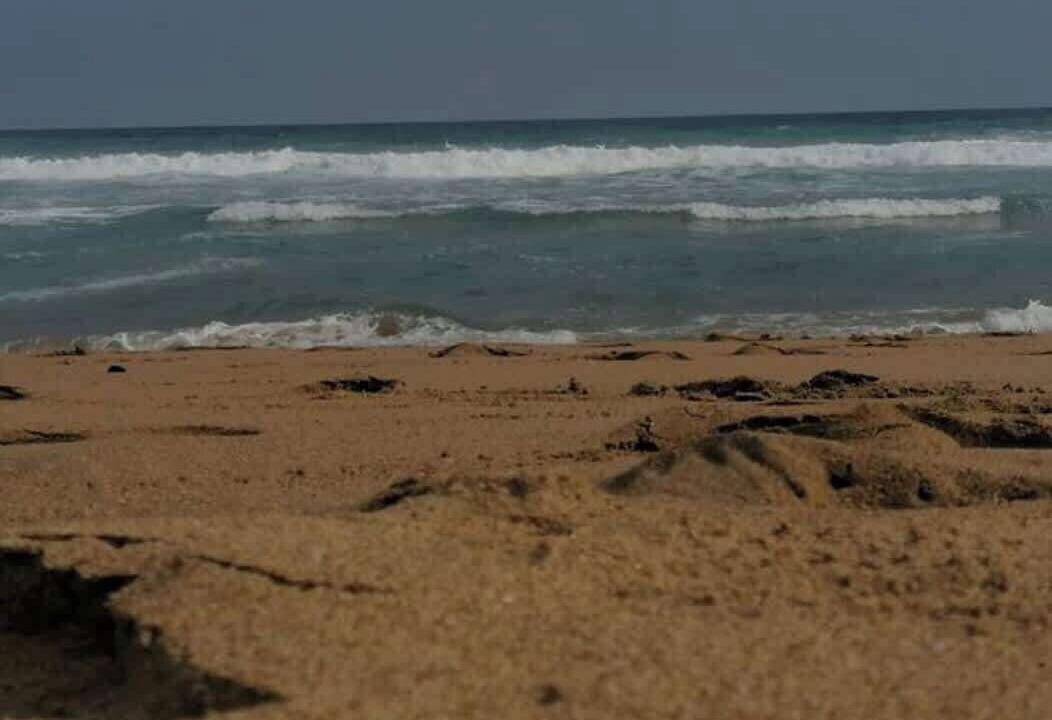 Photo of Others in San Agustinillo