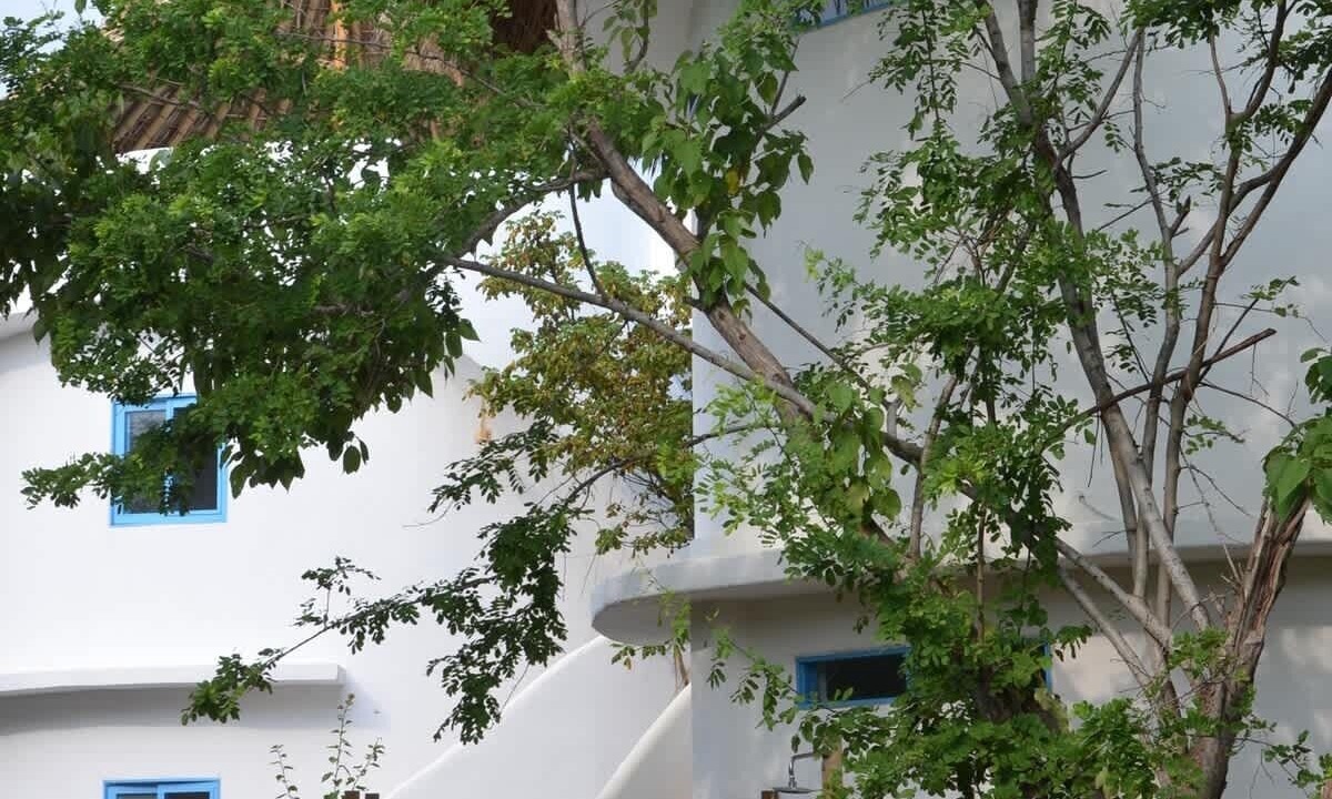 Photo of Others in San Agustinillo