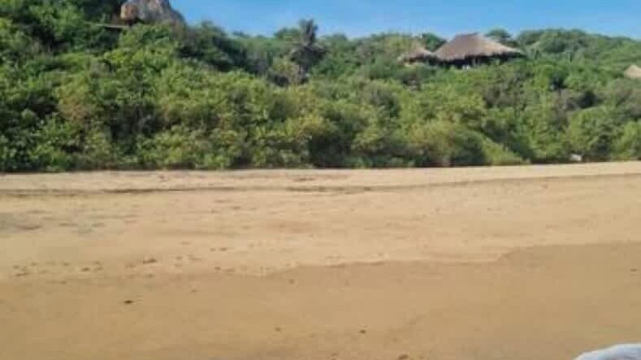 Photo of Others in San Agustinillo