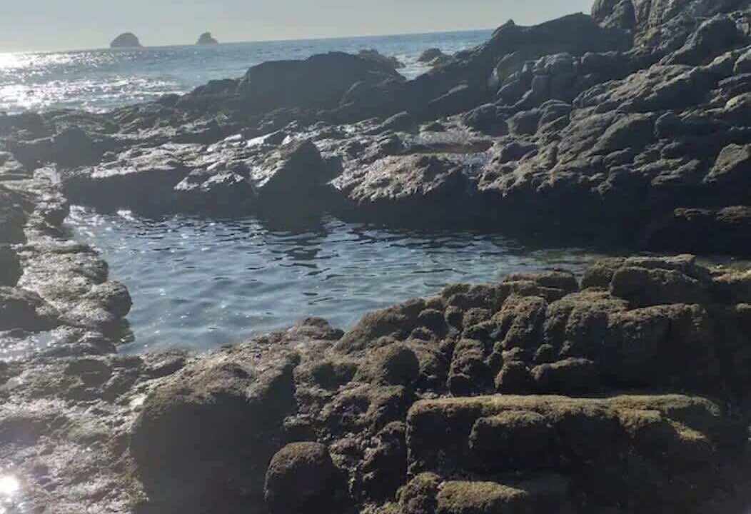Photo of Others in San Agustinillo